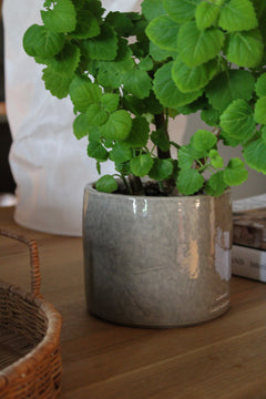 Serax - Flower Pot - 02 - Grey - Vaso