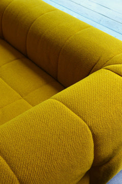 Arflex - Strips 2-person sofa