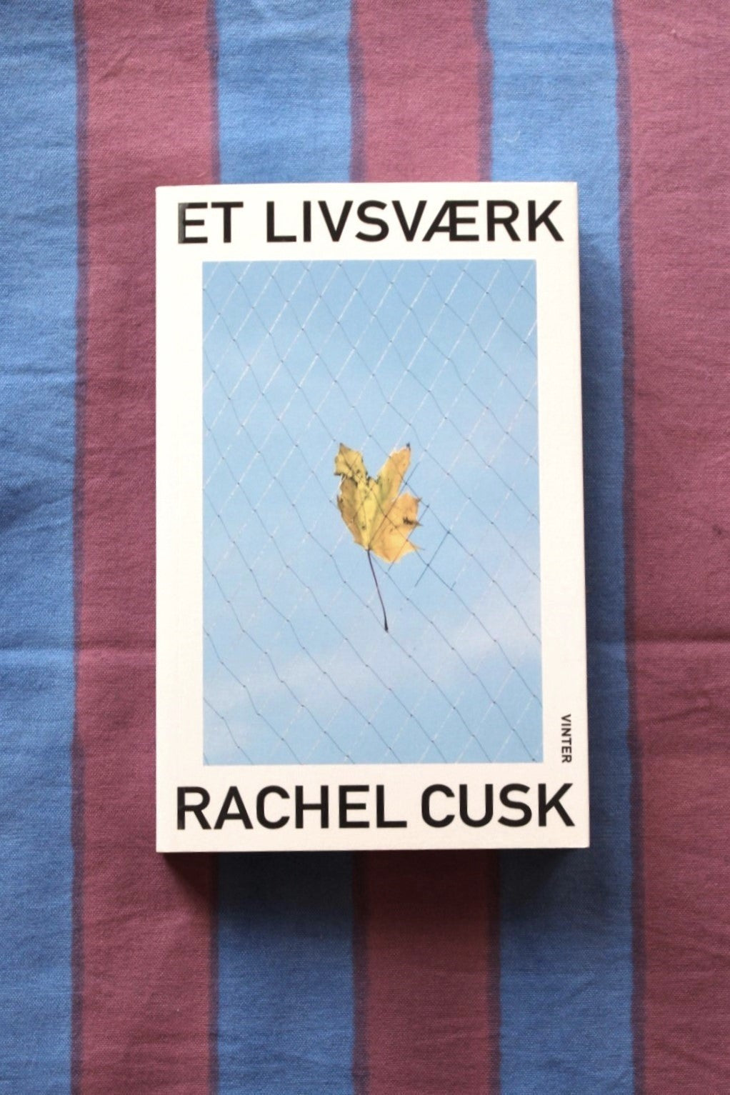 Rachel Cusk - Et livsværk - Vinter