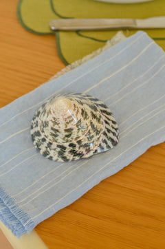 Musling Niloticus