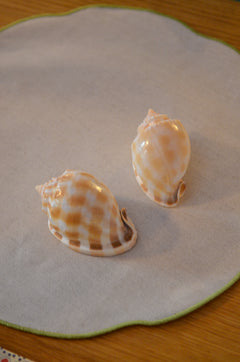 Musling Cassis