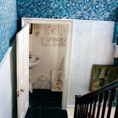 Scenery - Number Five - Cover 3