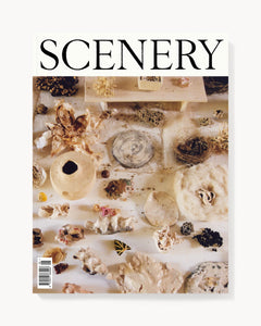 Scenery - Number Five - Cover 4