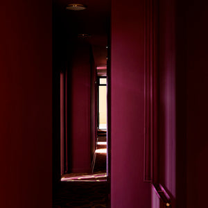 File Under Pop - Purple Trace